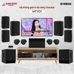 Hệ thống giải trí đa năng Yamaha MTY01 (Chính hãng)