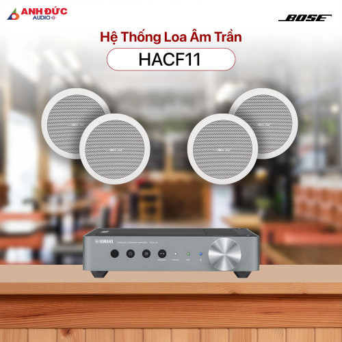 Hệ Thống Âm Thanh Cafe Bose HACF11 (Chính Hãng)