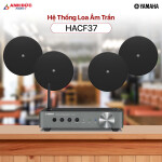 Hệ Thống Âm Thanh Cafe Yamaha HACF37 (Chính hãng)