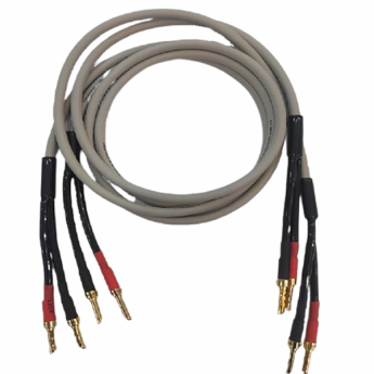 Bộ dây loa cao cấp Transparent 1.5m (Chính hãng)