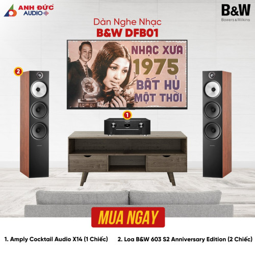 Dàn Nghe Nhạc B&W DFB01 (Chính Hãng)