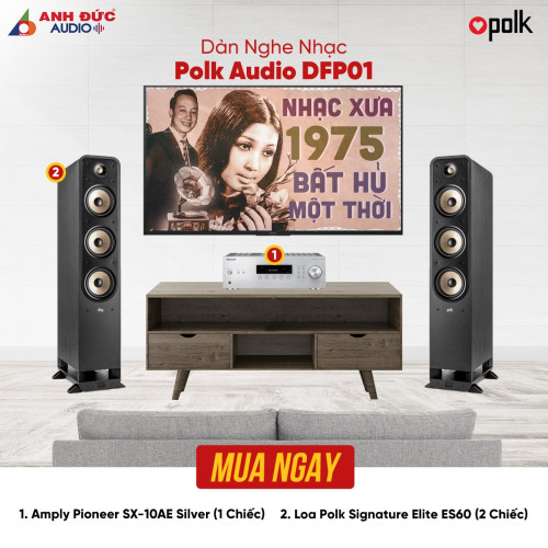 Dàn Nghe Nhạc Polk Audio DFP01 (Chính Hãng)
