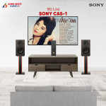 Loa Sony CAS-1 (Chính Hãng)
