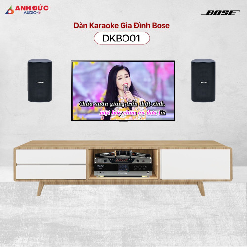 Dàn Karaoke Gia Đình Bose DKBO01 (Chính Hãng)