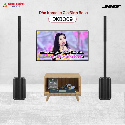 Dàn Karaoke Gia Đình Bose DKBO09 (Chính hãng)