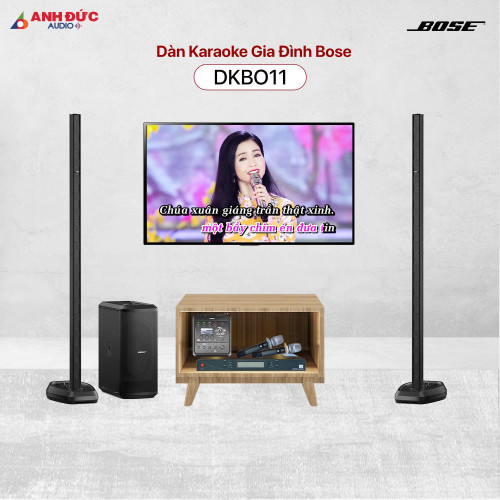 Dàn Karaoke Gia Đình Bose DKBO11 (Chính Hãng)