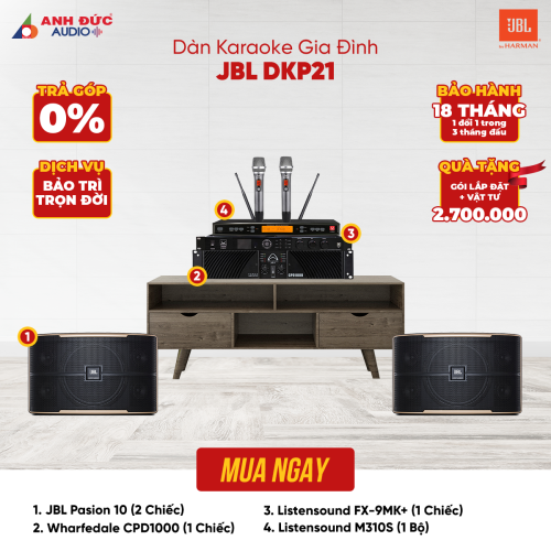 Dàn Karaoke Gia Đình JBL DKJ121 (Chính Hãng)