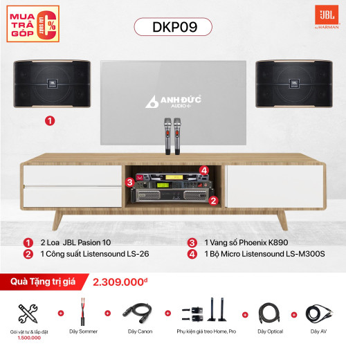 Dàn Karaoke Gia Đình JBL DKP09 (Chính Hãng)