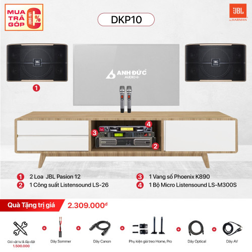 Dàn Karaoke Gia Đình JBL DKP10 (Chính Hãng)