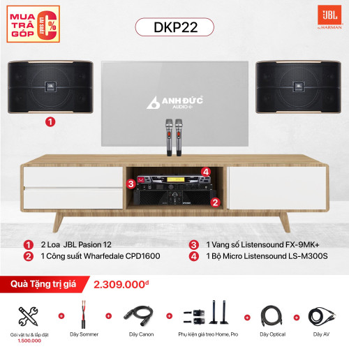 Dàn Karaoke Gia Đình JBL DKP22 (Chính Hãng)