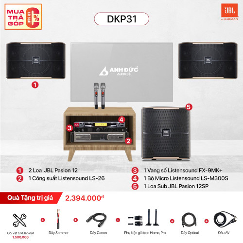 Dàn Karaoke Gia Đình JBL DKP31 (Chính Hãng)