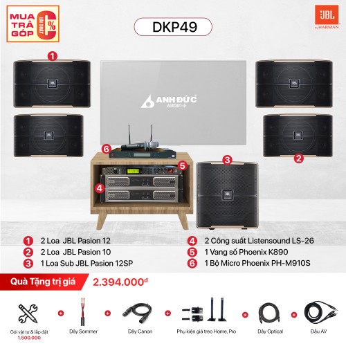 Dàn Karaoke Gia Đình JBL DKP49 (Chính Hãng)