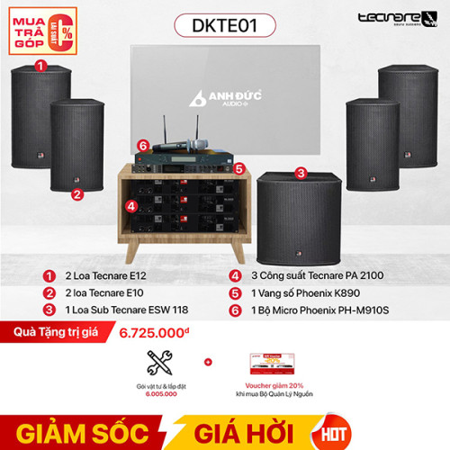 Dàn Karaoke Chuyên Nghiệp Tecnare DKTE01 (Chính Hãng)