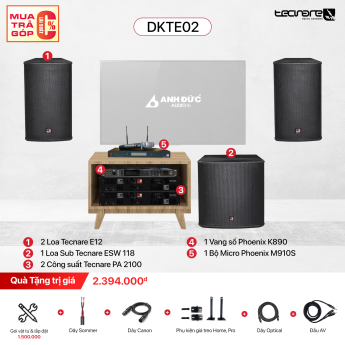 Dàn Karaoke Chuyên Nghiệp Tecnare Ibza DKTE02 (Chính Hãng)