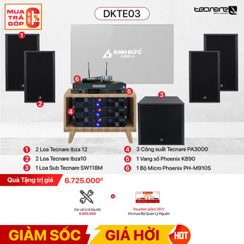 Dàn Karaoke Chuyên Nghiệp Tecnare Ibza DKTE03 (Chính Hãng)