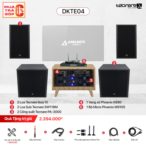 Dàn Karaoke Chuyên Nghiệp Tecnare Ibza DKTE04 (Chính Hãng)