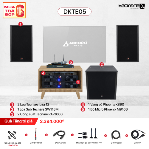 Dàn Karaoke Chuyên Nghiệp Tecnare Ibza DKTE05 (Chính Hãng)