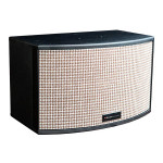 Loa Boston Acoustics BA Classic 12 (Chính hãng)