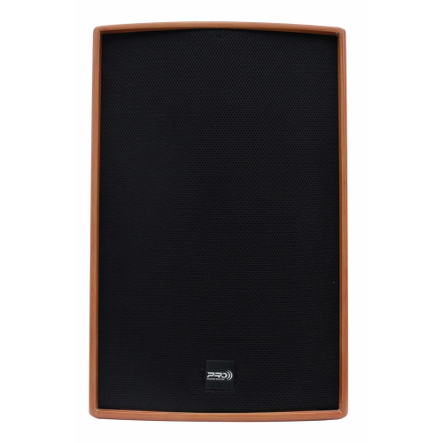 Loa Pro Acoustic Solution i-12N (Chính Hãng)