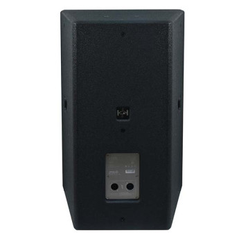 Loa Pro Acoustic Solution i-15N (Chính hãng)