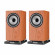 Loa Tannoy Revolution XT6 | Medium Oak (Chính Hãng)