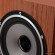Loa Tannoy Revolution XT6 | Medium Oak (Chính Hãng)