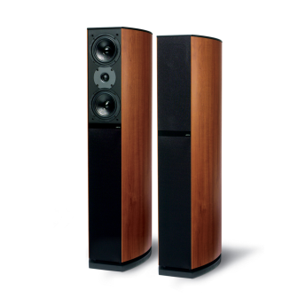 Loa Jamo D590 | Cherry (Chính Hãng)