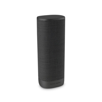 Loa Harman/Kardon Citation Surround | Black (Chính Hãng)