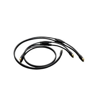 Dây tín hiệu Transparent RCA The Link 1.5M