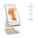 Giá đỡ tản nhiệt Rain Design (USA) mStand Mobile RD-10065 | Gold (Chính Hãng)