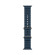 Apple Watch Ultra 2 | 49mm/GPS + Cellular | Natural | Ocean Band | Medium (Chính hãng)