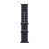 Apple Watch Ultra | 49mm/GPS + Cellular | Titanium Case/Midnight Ocean Band