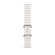 Apple Watch Ultra | 49mm/GPS + Cellular | Titanium Case/White Ocean Band