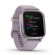 Garmin Venu SQ | 40.6mm | Orchid Purple Case/Silicone Band (Chính Hãng)