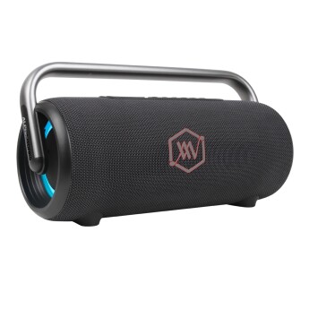 Loa Alpha Works IKON 20 | Black/Black (Chính hãng)