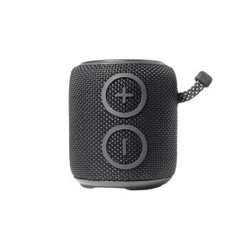 Loa Alpha Works Ride | Black (Chính Hãng)