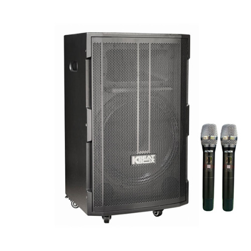 Loa Karaoke Acnos CB39D (Chính Hãng)