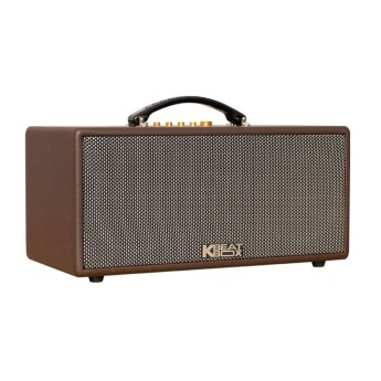 Loa Acnos CS366 Plus (Chính hãng)