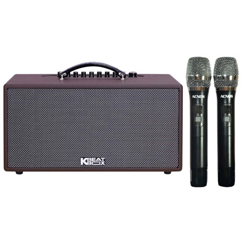 Loa Karaoke Acnos CS391 (Chính Hãng)