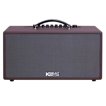 Loa Karaoke Acnos CS391 (Chính Hãng)