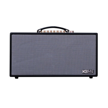 Loa Karaoke Acnos CS450SRV (Chính Hãng)