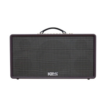 Loa karaoke Acnos FLAC 36 | Purple (Chính Hãng)