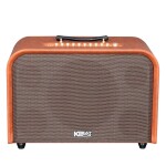 Loa Acnos Harmony | Brown (Chính hãng)