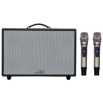 Loa Karaoke Acnos Hinet 3600 (Chính Hãng)