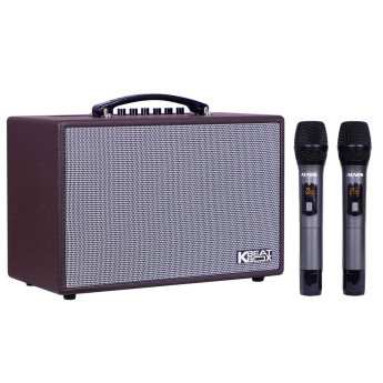 Loa Karaoke Acnos CS160 (Chính Hãng)