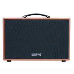 Loa Karaoke Acnos CS250PU | Brown (Chính Hãng)