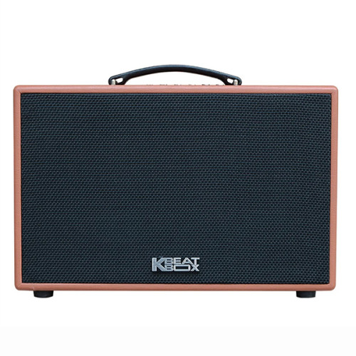 Loa Karaoke Acnos CS250PU | Brown (Chính Hãng)