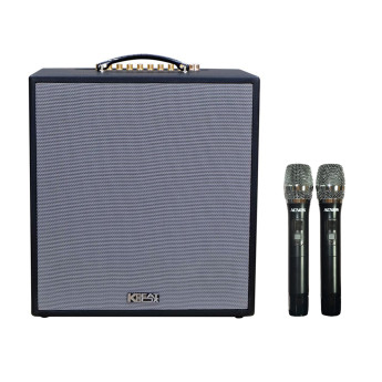 Loa Karaoke Acnos CS300 (Chính Hãng)