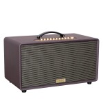 Loa karaoke Acnos FLAC 36 II | Purple (Chính hãng)