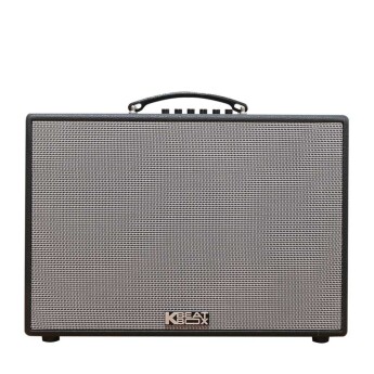 Loa Acnos CS250PUW (Chính hãng)